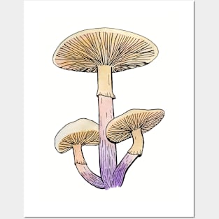 armillaria Posters and Art